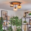 Ripoll Plafondlamp, Kogellampje Bruin, houtlook, Zwart, 3-lichts