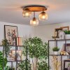 Ripoll Plafondlamp, Kogellampje Bruin, houtlook, Zwart, 3-lichts