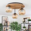 Ripoll Plafondlamp, Kogellampje Bruin, houtlook, Zwart, 3-lichts