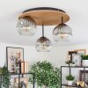 Ripoll Plafondlamp, Kogellampje Bruin, houtlook, Zwart, 3-lichts
