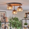 Ripoll Plafondlamp, Kogellampje Bruin, houtlook, Zwart, 3-lichts
