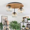 Ripoll Plafondlamp, Kogellampje Bruin, houtlook, Zwart, 3-lichts