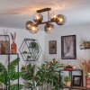 Koyoto Plafondlamp, Kogellampje Amber, Duidelijk, Rookkleurig, 6-lichts