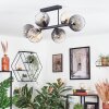 Koyoto Plafondlamp, Kogellampje Amber, Duidelijk, Rookkleurig, 6-lichts