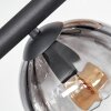 Koyoto Plafondlamp, Kogellampje Amber, Duidelijk, Rookkleurig, 6-lichts