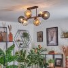 Koyoto Plafondlamp, Kogellampje Amber, Duidelijk, Rookkleurig, 6-lichts