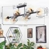 Koyoto Plafondlamp, Kogellampje Amber, Duidelijk, Rookkleurig, 10-lichts