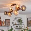 Koyoto Plafondlamp, Kogellampje Amber, Duidelijk, Rookkleurig, 10-lichts