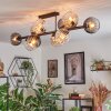 Koyoto Plafondlamp, Kogellampje Amber, Duidelijk, Rookkleurig, 10-lichts