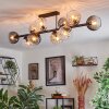 Koyoto Plafondlamp, Kogellampje Amber, Duidelijk, Rookkleurig, 10-lichts