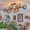 Koyoto Plafondlamp, Kogellampje Rookkleurig, 10-lichts