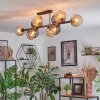 Koyoto Plafondlamp, Kogellampje Amber, Rookkleurig, 10-lichts