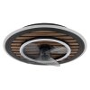Globo Trevino Plafondventilator met verlichting LED Natuurlijke kleuren, Zwart, 1-licht, Afstandsbediening