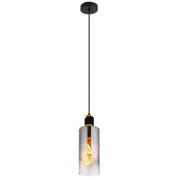 Globo Osborne Hanglamp Bruin, Zwart, 1-licht