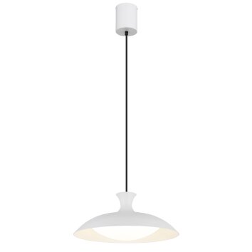 Globo Rocha Hanglamp LED Wit, 1-licht