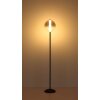 Globo Lacy Staande lamp LED Zwart, 1-licht