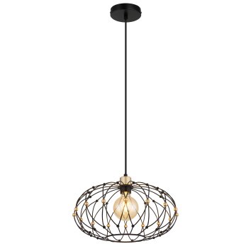 Globo Greys Hanglamp Zwart, 1-licht
