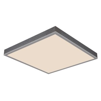 Globo Doro Plafondlamp LED Grijs, Zilver, 1-licht, Afstandsbediening