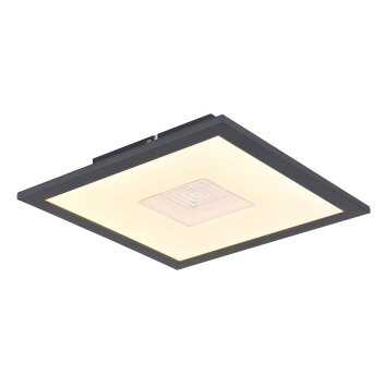 Globo Doro Plafondlamp LED Zilver, Wit, 1-licht