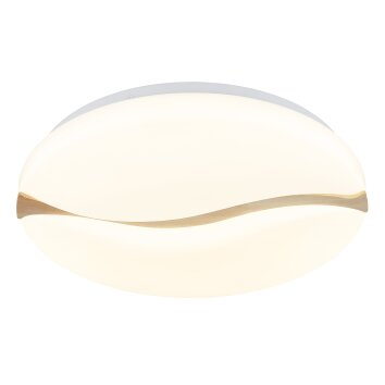 Globo Leticia Plafondlamp LED Wit, 1-licht