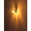 Globo Zachery Plafondlamp, Plafondspot, Wandlamp, Muurspot Nikkel mat, 1-licht