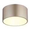 Globo Raymond Plafondlamp LED Goud, 1-licht
