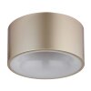 Globo Raymond Plafondlamp LED Goud, 1-licht