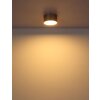 Globo Raymond Plafondlamp LED Goud, 1-licht