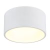 Globo Raymond Plafondlamp LED Wit, 1-licht