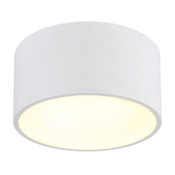 Globo Raymond Plafondlamp LED Wit, 1-licht