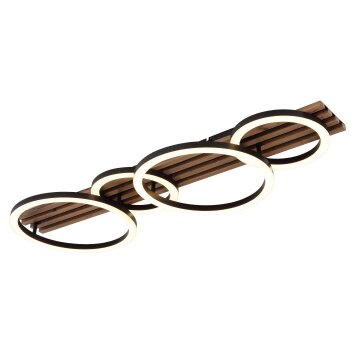 Globo Tisha Plafondlamp LED Natuurlijke kleuren, Zwart, 1-licht