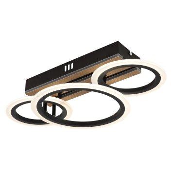 Globo Blevins Plafondlamp LED Natuurlijke kleuren, Zwart, 1-licht