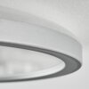 Simonstorp Plafondlamp, Paneel LED Zilver, Wit, 1-licht