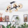 Ripoll Plafondlamp, Kogellampje Amber, Duidelijk, 8-lichts