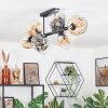 Ripoll Plafondlamp, Kogellampje Amber, Duidelijk, Rookkleurig, 8-lichts