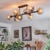 Ripoll Plafondlamp, Kogellampje Amber, Duidelijk, Rookkleurig, 8-lichts