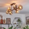 Ripoll Plafondlamp, Kogellampje Amber, Duidelijk, Rookkleurig, 8-lichts