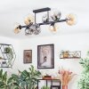 Ripoll Plafondlamp, Kogellampje Amber, Duidelijk, Rookkleurig, 8-lichts
