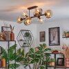 Ripoll Plafondlamp, Kogellampje Amber, Duidelijk, Rookkleurig, 8-lichts