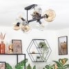 Ripoll Plafondlamp, Kogellampje Amber, Duidelijk, Rookkleurig, 8-lichts