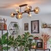Ripoll Plafondlamp, Kogellampje Amber, Duidelijk, Rookkleurig, 8-lichts