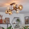 Ripoll Plafondlamp, Kogellampje Amber, Duidelijk, Rookkleurig, 8-lichts