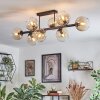Koyoto Plafondlamp, Kogellampje Amber, Duidelijk, 8-lichts