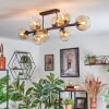 Koyoto Plafondlamp, Kogellampje Amber, Duidelijk, 8-lichts