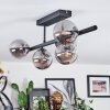 Chehalis Plafondlamp, Kogellampje Rookkleurig, 5-lichts
