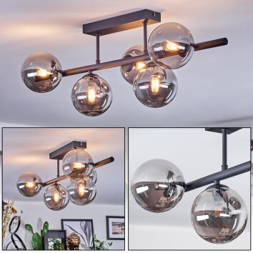Chehalis Plafondlamp, Kogellampje Rookkleurig, 5-lichts
