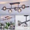 Chehalis Plafondlamp, Kogellampje Duidelijk, Rookkleurig, 5-lichts