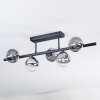 Chehalis Plafondlamp, Kogellampje Duidelijk, Rookkleurig, 5-lichts