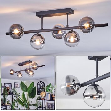 Chehalis Plafondlamp, Kogellampje Duidelijk, Rookkleurig, 5-lichts