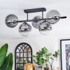 Chehalis Plafondlamp, Kogellampje Duidelijk, Rookkleurig, 5-lichts